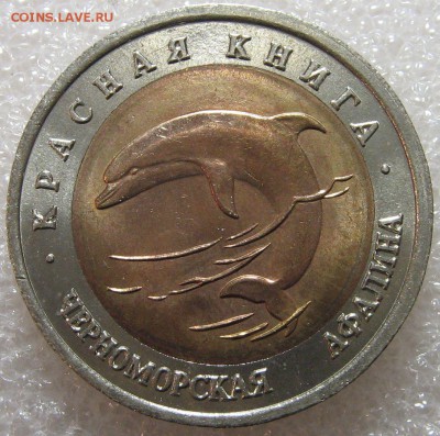 КК 1993 Черноморская Афалина 50 рублей до 18.04.17 - IMG_0791.JPG