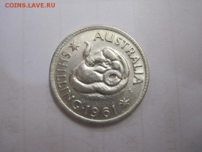 1 шиллинг Австралия 1961 до 16.04.17 - IMG_9778.JPG