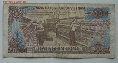 Вьетнам 5000 dong + 2000 Dong +Бонус - DSC01266.JPG