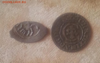 Чешуя и иностранная монета - 20170616_075945