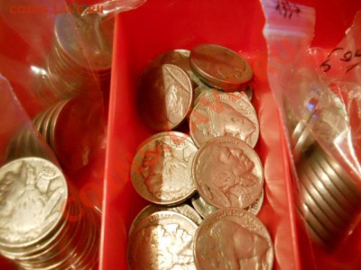 Продаю монеты США = Буффало, Бизон, Индеец МНОГО-) - DSCN1497.JPG