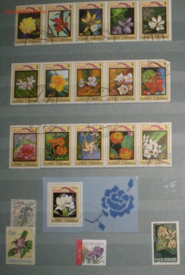 Обмен марок - Марки-флора 002