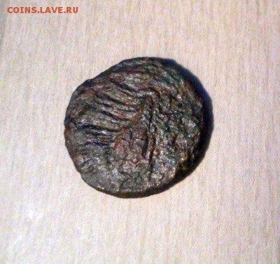 Монета Пантикапей - 7 - DSC03837.JPG