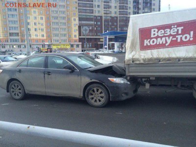 веселые картинки - Фото дня