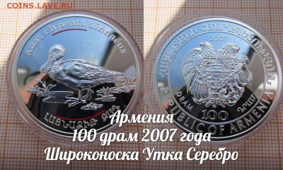 Армения 100 драм 2007 Широконоска Утка Пруф. До 4.10.в 22:00 - т