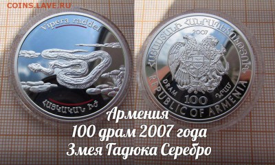 Армения 100 драм 2007 Змея Гадюка Пруф. До 4.10. в 22:00 - т