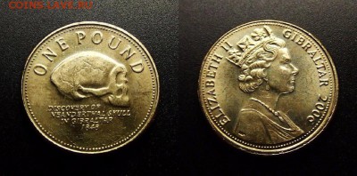 МОНЕТЫ МИРА 10-17 - Гибралтар – 1 фунт (2006) «Череп неандертальца»