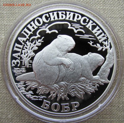 1 рубль 2001 г. Западносибирский бобр. R! Ag. До 29.10.17 - IMG_8365.JPG