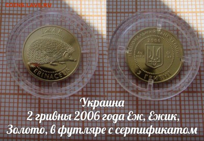 Украина 2 гривны 2006 Еж,Ежик, Золото,футляр,сертиф.До10.11 - 1