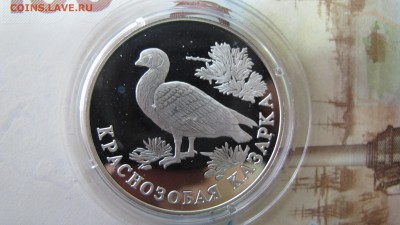 1 рубль "Казарка" 1994 года - IMG_7324.JPG