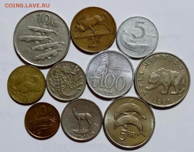 10 монет - Фауна. до 26.11.2017 в 22.00 по мск - DSCN0280 (1122x875)
