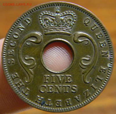 5 центов восточная африка 1955 - DSCN2981.JPG