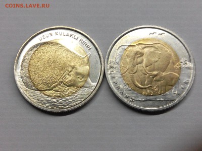 Мои иностранные монеты на биметалл РФ - IMG_20171222_003352
