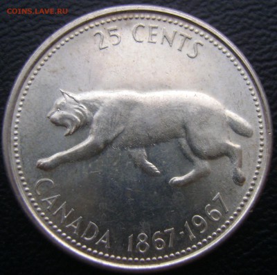Канада. 25 центов. Рысь. Серебро - DSC08779.JPG