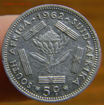 5 центов ЮАР 1962 г. - DSCN3627.JPG