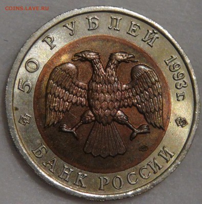 50 рублей 1993 медведь с 200 рублей 03.02.18 (сб. 22-30) - DSC07175.JPG