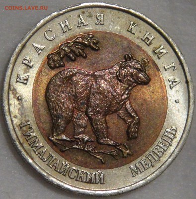 50 рублей 1993 медведь с 200 рублей 03.02.18 (сб. 22-30) - DSC07174.JPG