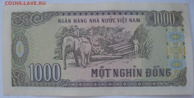 Вьетнам 1000 донгов - IMG_6729.JPG