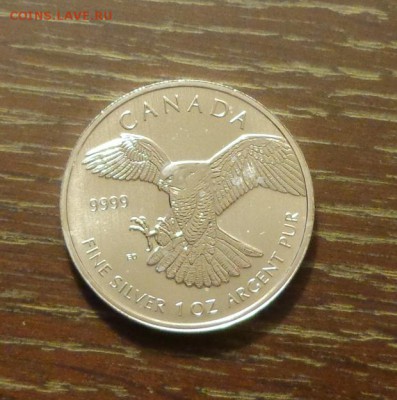 КАНАДА - 5 долларов САПСАН 2014 до 16.03, 22.00 - Канада орел