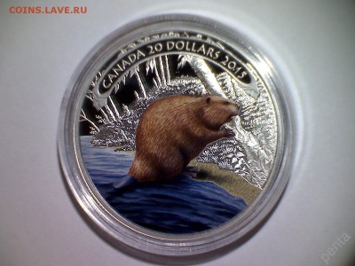 Монеты с бобрами - Канада 2015 20 долларов серебро = 6700