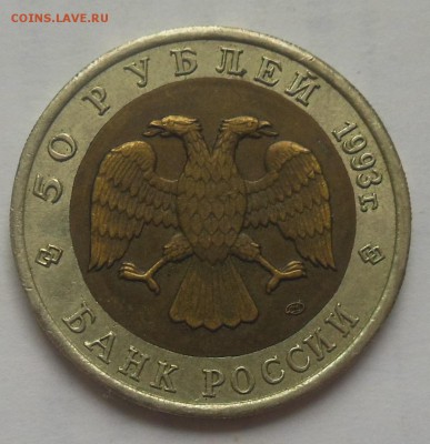 50 рублей Эублефар 1993 - 5-2.JPG