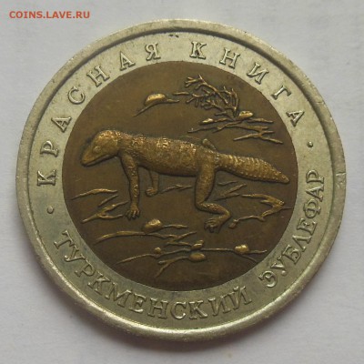 50 рублей Эублефар 1993 - 5-1.JPG