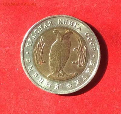 5 рублей КК Филин 1991г до 12.04.18г - IMG_1774.JPG
