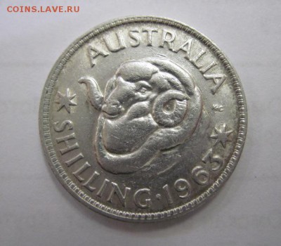 1 шиллинг Австралия 1963   до 15.04.18 - IMG_7708.JPG