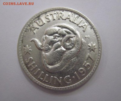 1 шиллинг Австралия 1957  до 21.04.18 - IMG_7820.JPG