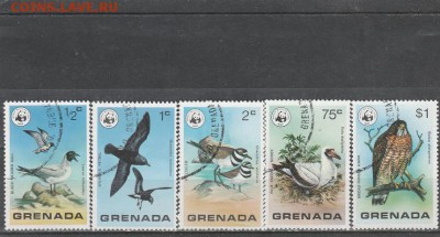 Птицы. Гренада. до 11.05. в 22.00 - IMG_20180510_0014
