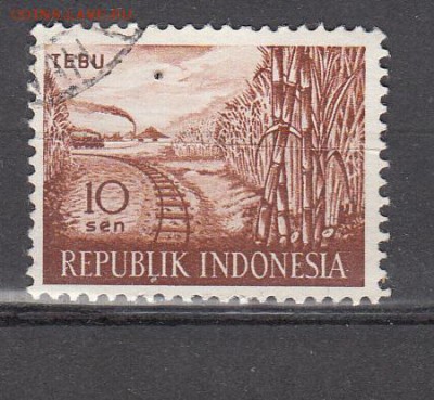 Индонезия рельсы 1м - 39