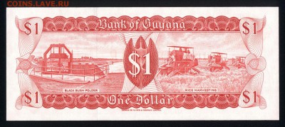 Гайана 1 доллар 1989 unc  19.05.18. 22:00 мск - 1