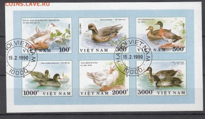 Вьетнам птицы лист - 68