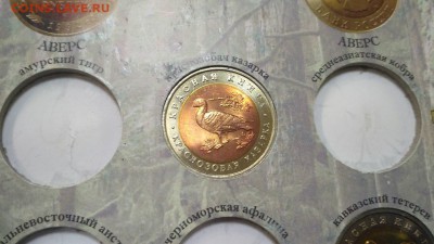 Вся Юбилейка СССР и Монеты Красной Книги по ФИКСУ до 22.05 - кк6