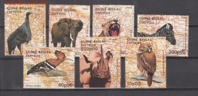 Гвинея Бисау фауна 7м - 93