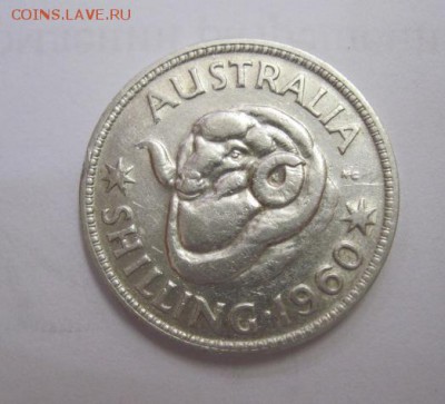 1 шиллинг Австралия 1960 до 18.05.18 - IMG_2520.JPG