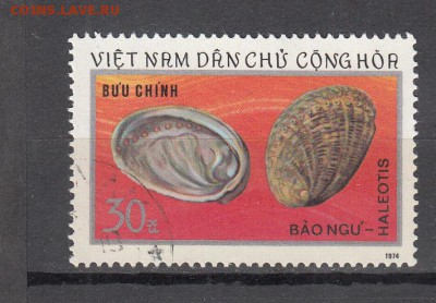 Вьетнам раковина 1м - 312