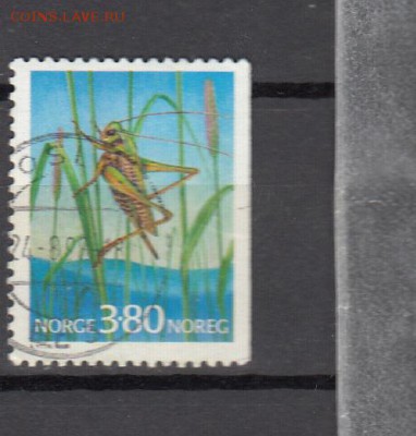 Норвегия насекомые 1м - 333