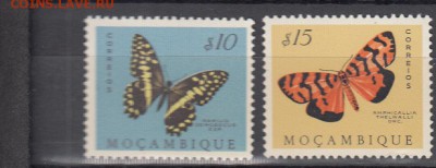 Мозамбик бабочки 2м - 356