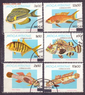Мозамбик, рыбы, 1979г, гашеные до 06.06.18 22:00 МСК - мозамбик рыбы 2