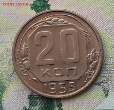 20 копеек 1955 до 12-06-2018 до 22-00 по Москве - 20 55 Р