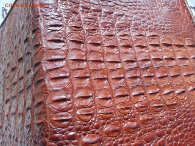 Изделия из кожи крокодила и питона. - 20120103_152529