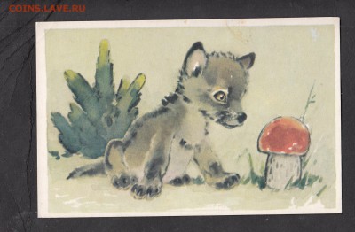 СССР ПК 1970 волк и красная шапочка - 240
