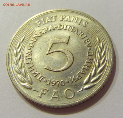 5 динар 1970 ФАО Югославия №1 24.08.2018 22:00 МСК - CIMG1022.JPG