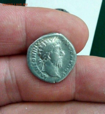 Короткий аукцион, Римская Империя 1 - IMG_3