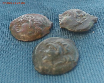 3 античные монеты.Пантикопей.до 16.09.18г.в 22.00.мск - _20180913_105349