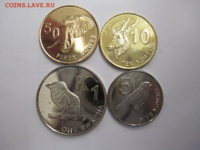 Замбия набор из 4 монет   до 24.10.18 - IMG_1595.JPG