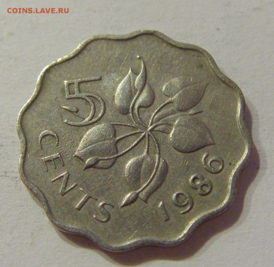 5 центов 1986 Свазиленд №1 28.10.2018 22:00 МСК - CIMG6350.JPG