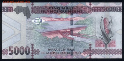 Гвинея 5000 франков 2015 unc 15.11.18. 22:00 мск - 1