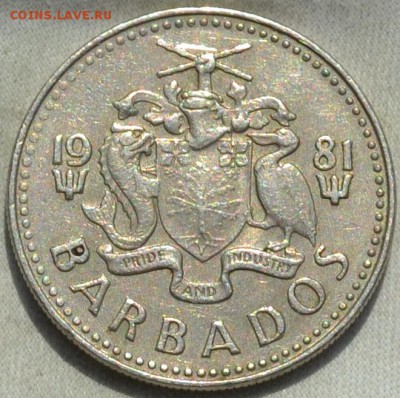 Барбадос 25 центов 1981. 21. 11 2018. в 22  - 00. - DSC_0565